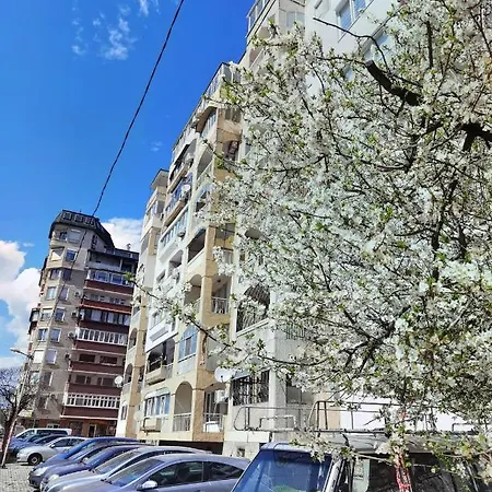 дом анести Apartamento