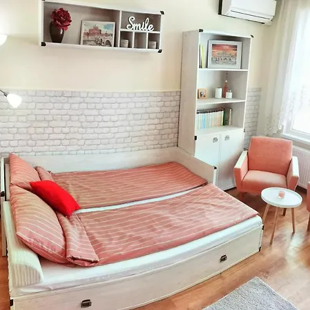 дом анести Apartamento Varna